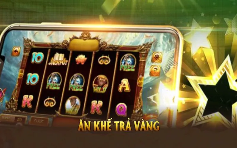 các khuyến mãi của nhà cái